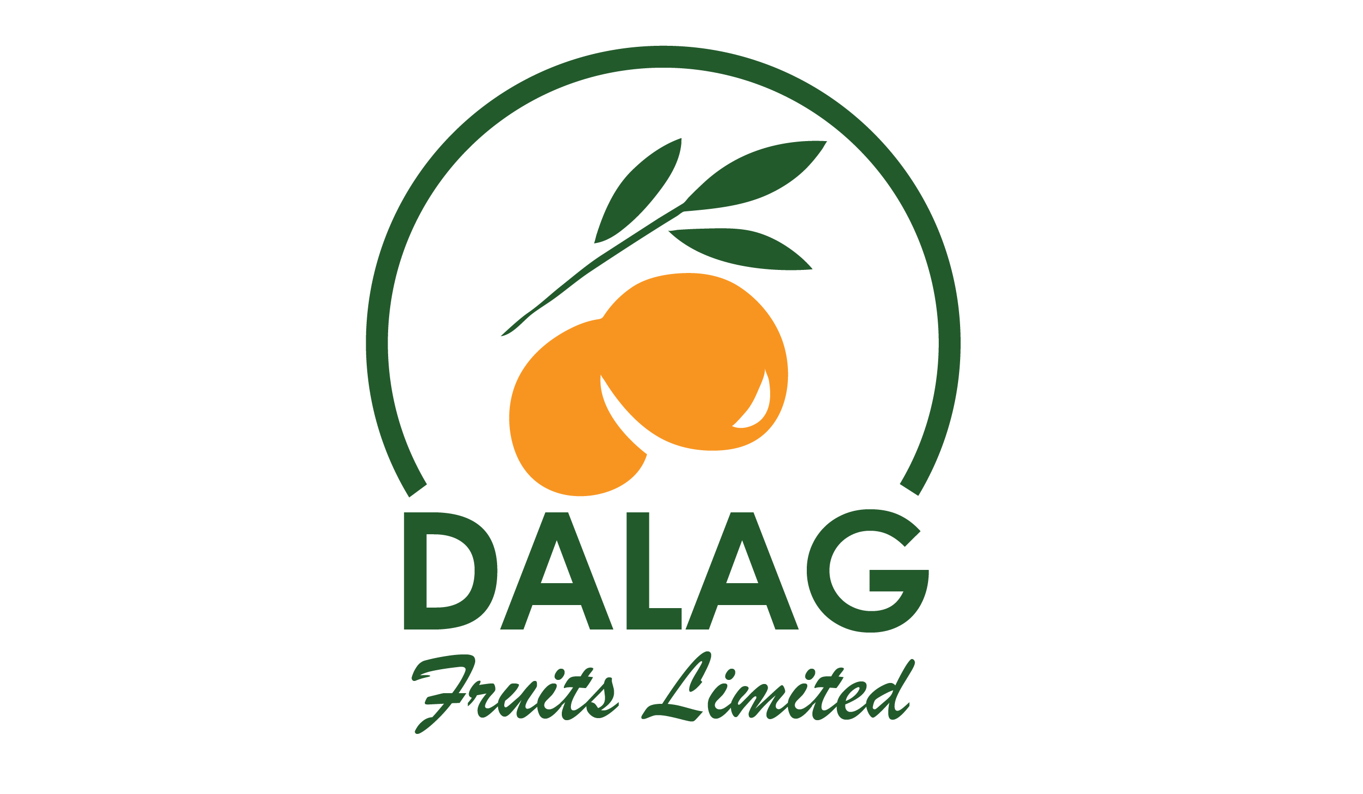 logo design in kenya - phitech brands